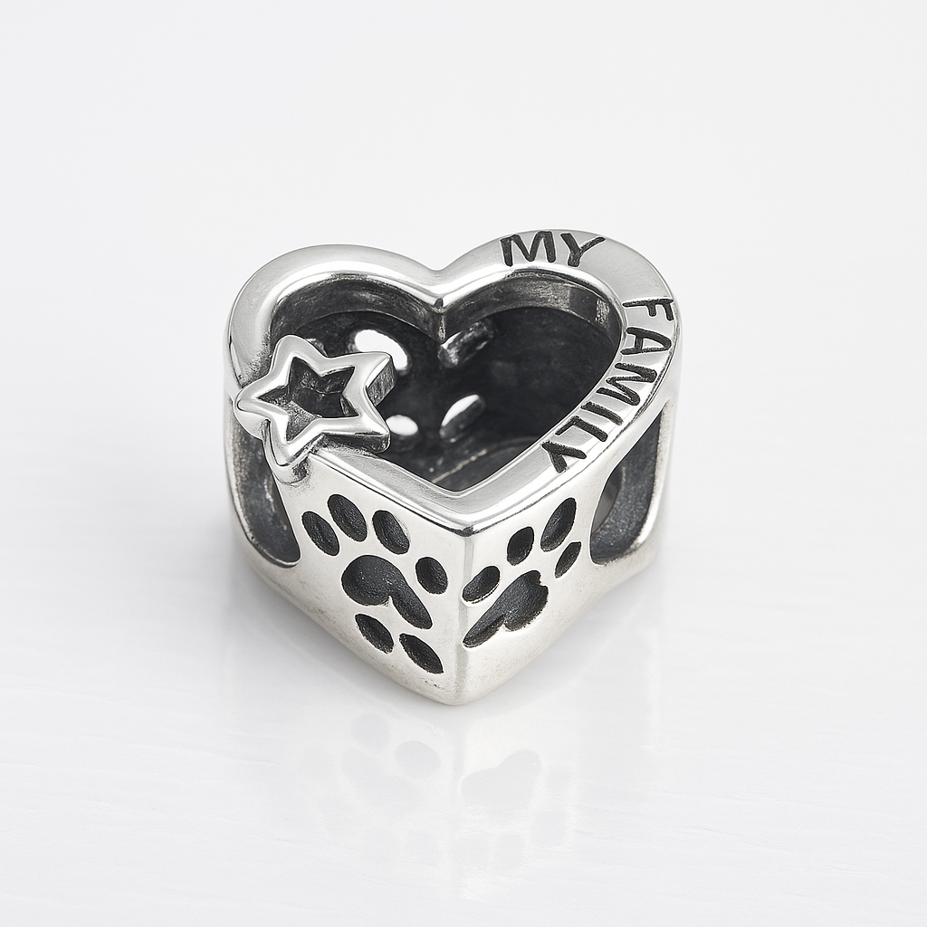 Talisman familie My Family din argint 925 pentru brățări Pandora style